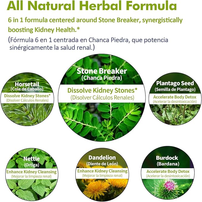 Chanca Piedra Herbal Tincture, Extract with Stone Breaker, for Kidney Stones Dissolve, Kidney Cleanse Support & Detox Support. 2oz