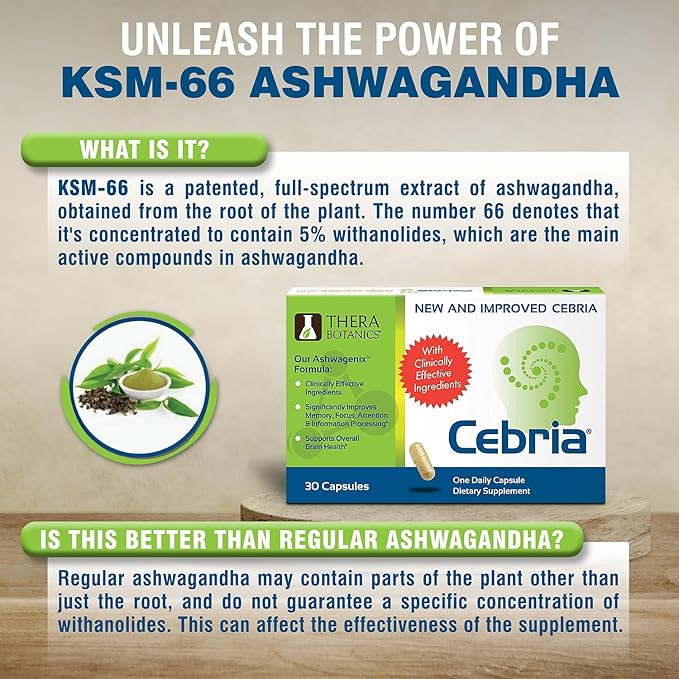 Cebria Brain Supplement for Men, Women & Seniors – Nootropic Safe and Effective Memory Supplement for Retention, Recall & Age-Related Memory Loss* (30 Count)