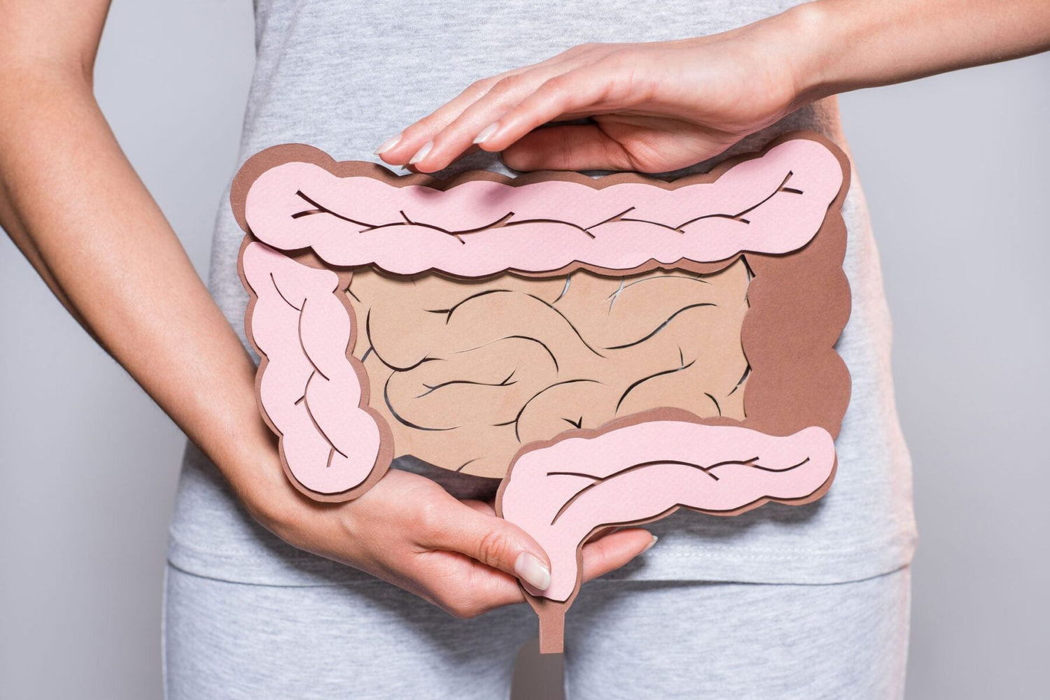 Gut & Digestive Health