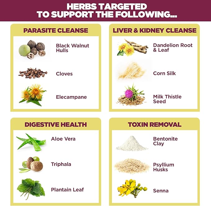 Yerba Prima Women’s Renew Internal Cleansing System - 30 Day Cleanse and Detox Kit - Female Detoxifying Herbal Support Supplements