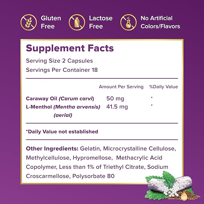 FDgard Gut Health Supplement, Indigestion, Nausea & Bloating, Upset Stomach, 36 Capsules-VitarraWellness